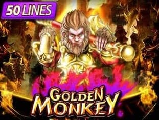 Golden Monkey thumbnail